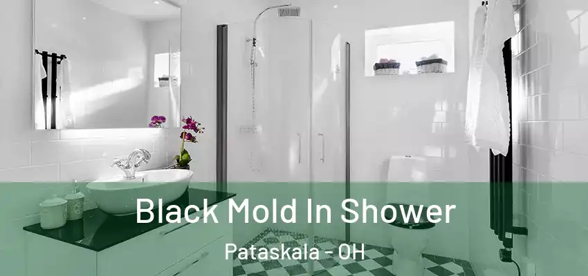 Black Mold In Shower Pataskala - OH