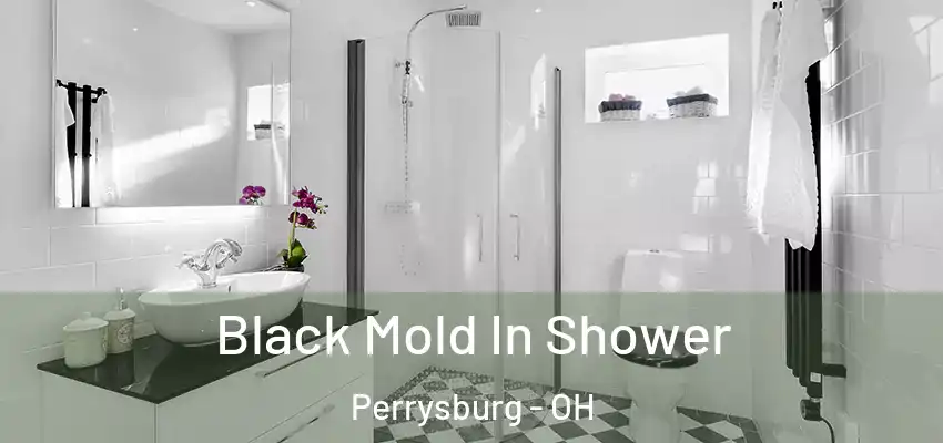  Black Mold In Shower Perrysburg - OH