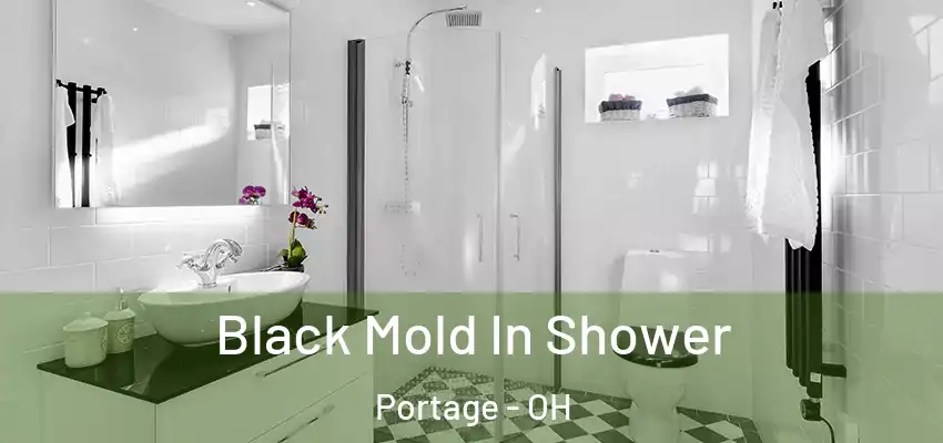  Black Mold In Shower Portage - OH