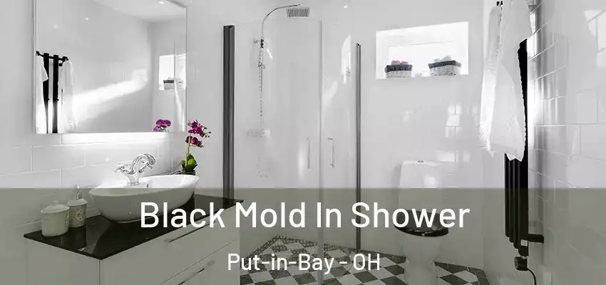  Black Mold In Shower Put-in-Bay - OH