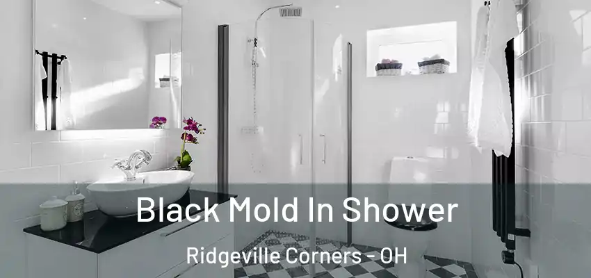  Black Mold In Shower Ridgeville Corners - OH