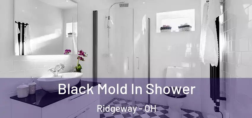  Black Mold In Shower Ridgeway - OH