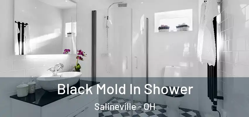  Black Mold In Shower Salineville - OH