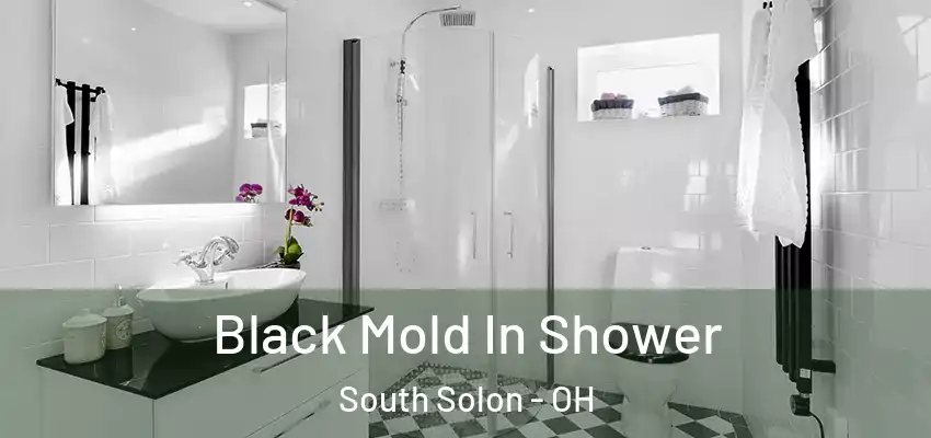  Black Mold In Shower South Solon - OH