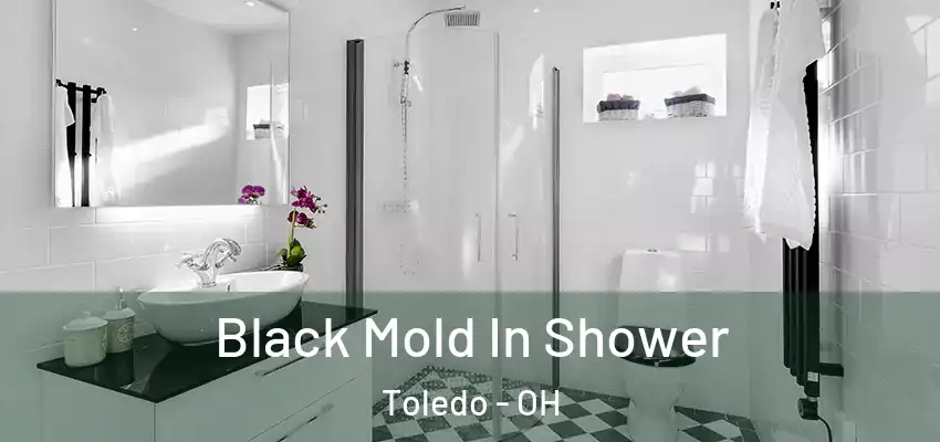  Black Mold In Shower Toledo - OH