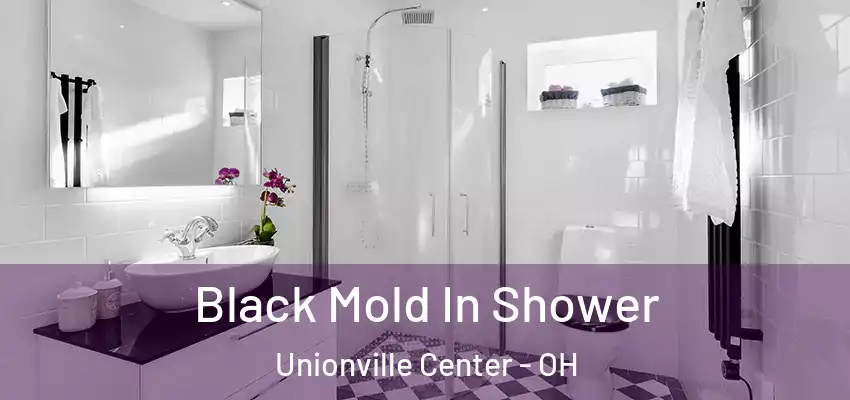  Black Mold In Shower Unionville Center - OH