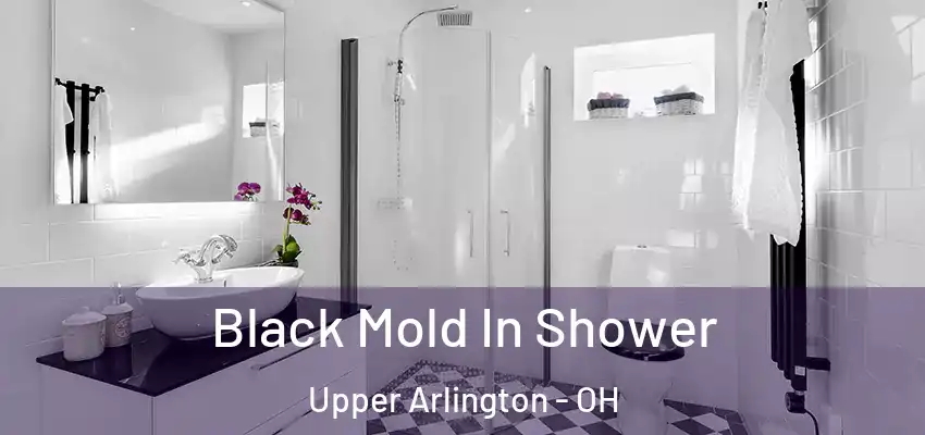  Black Mold In Shower Upper Arlington - OH