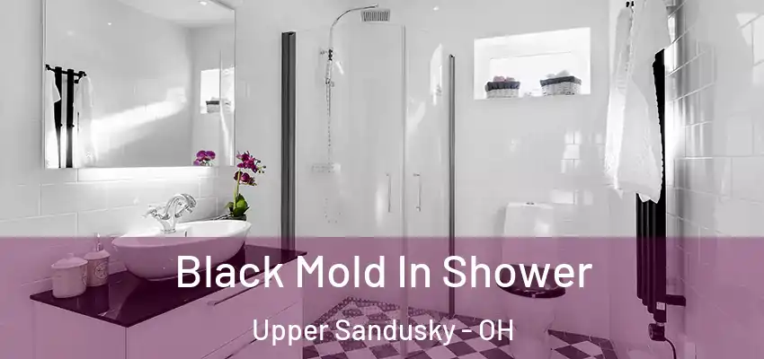  Black Mold In Shower Upper Sandusky - OH