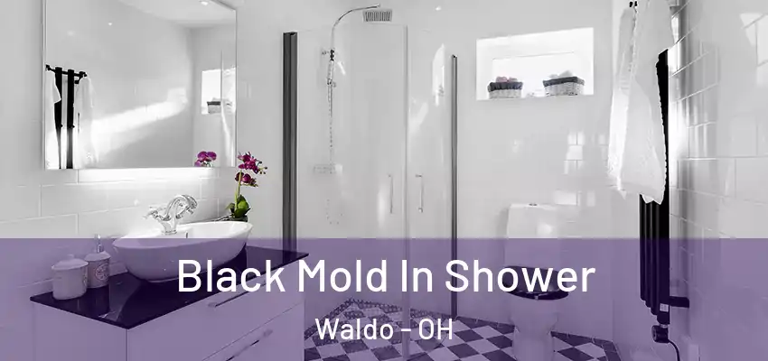  Black Mold In Shower Waldo - OH