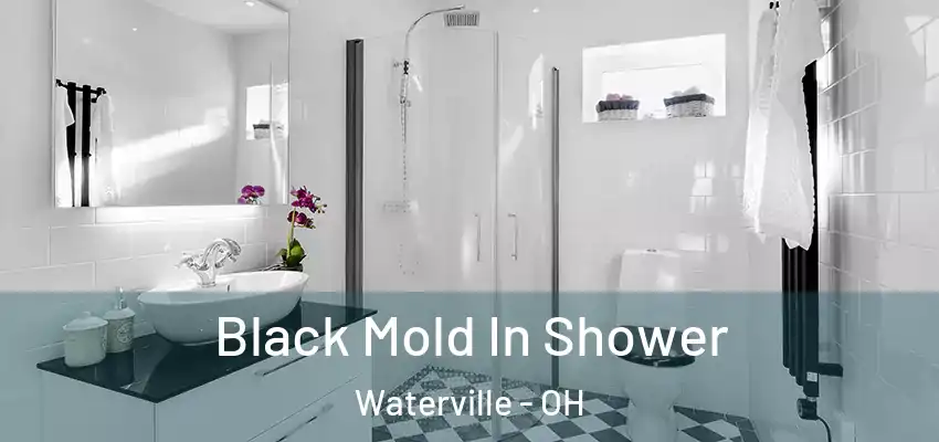  Black Mold In Shower Waterville - OH