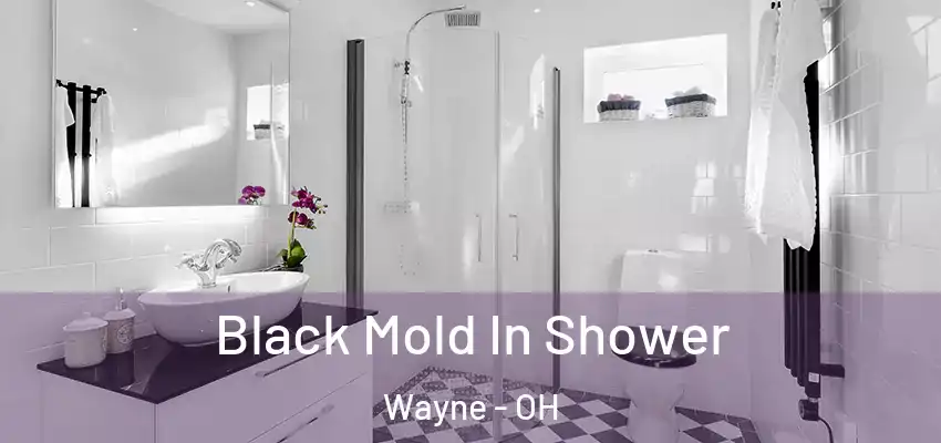  Black Mold In Shower Wayne - OH