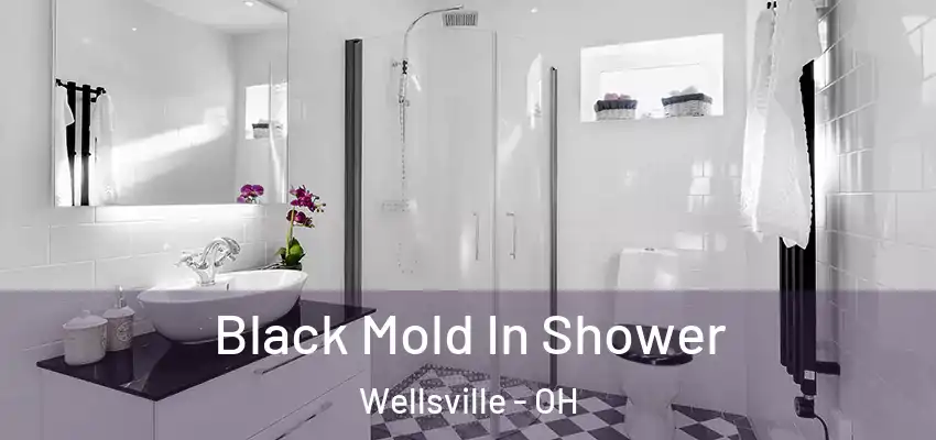  Black Mold In Shower Wellsville - OH