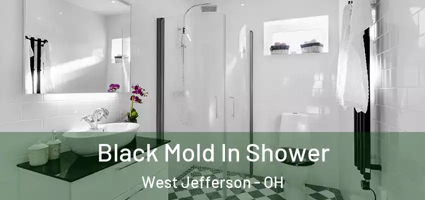  Black Mold In Shower West Jefferson - OH