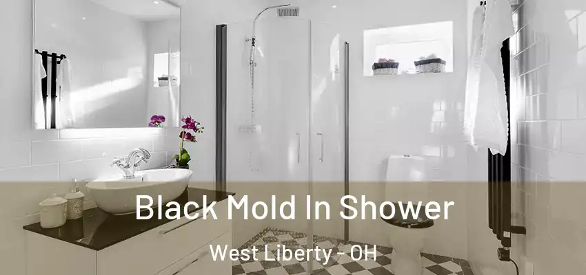  Black Mold In Shower West Liberty - OH