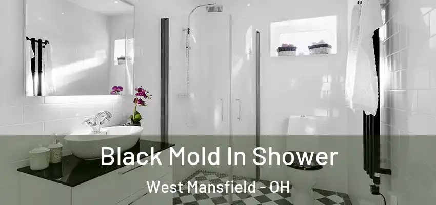  Black Mold In Shower West Mansfield - OH