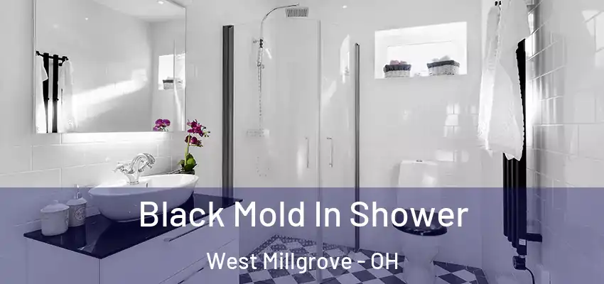  Black Mold In Shower West Millgrove - OH