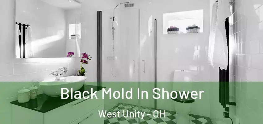  Black Mold In Shower West Unity - OH