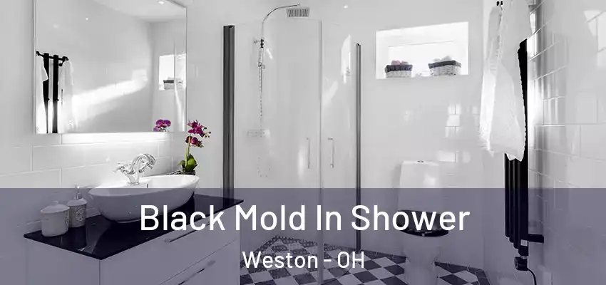  Black Mold In Shower Weston - OH