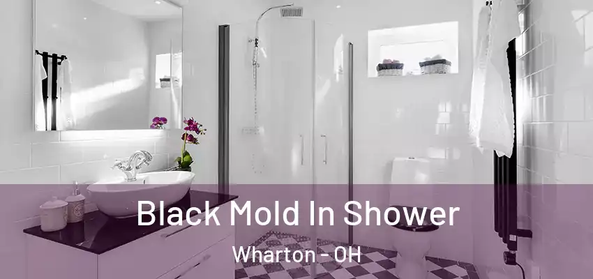  Black Mold In Shower Wharton - OH