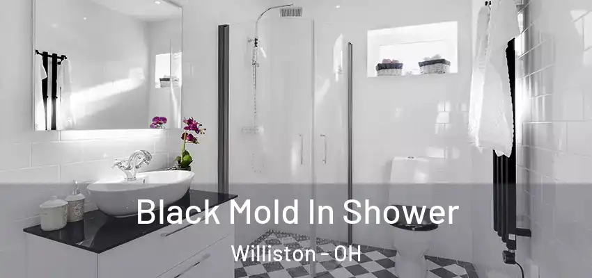  Black Mold In Shower Williston - OH