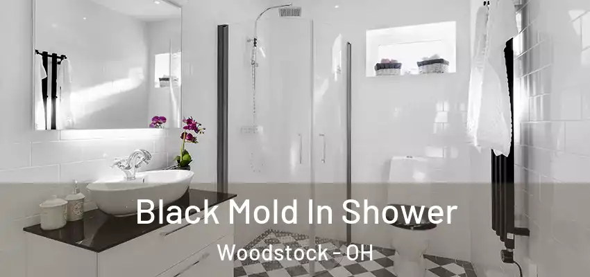  Black Mold In Shower Woodstock - OH