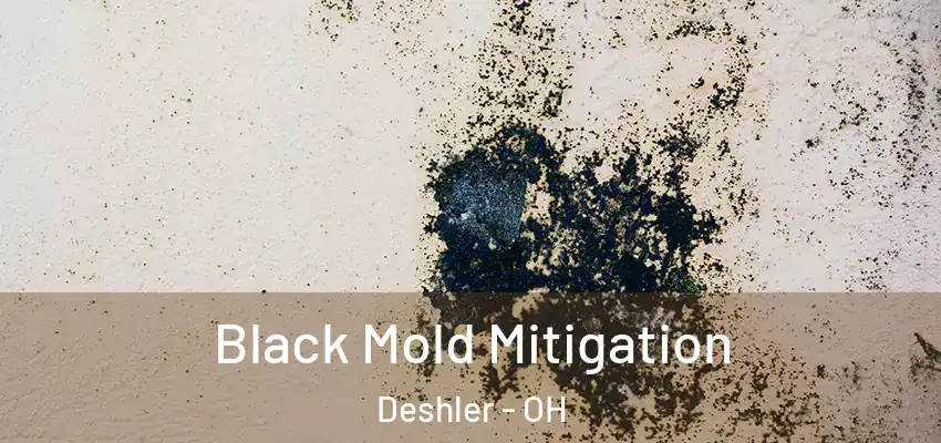  Black Mold Mitigation Deshler - OH