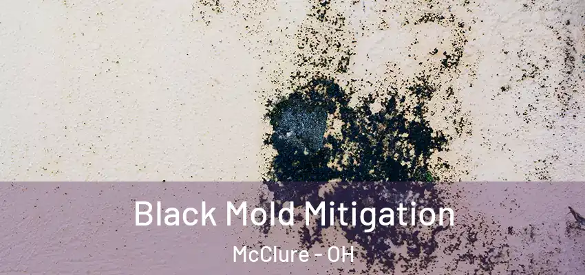  Black Mold Mitigation McClure - OH