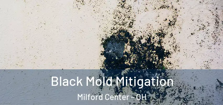  Black Mold Mitigation Milford Center - OH