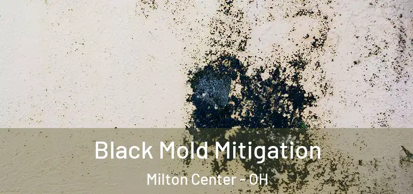  Black Mold Mitigation Milton Center - OH