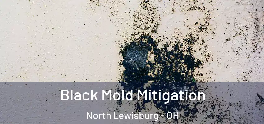  Black Mold Mitigation North Lewisburg - OH