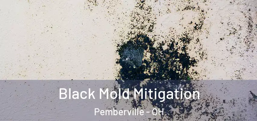  Black Mold Mitigation Pemberville - OH
