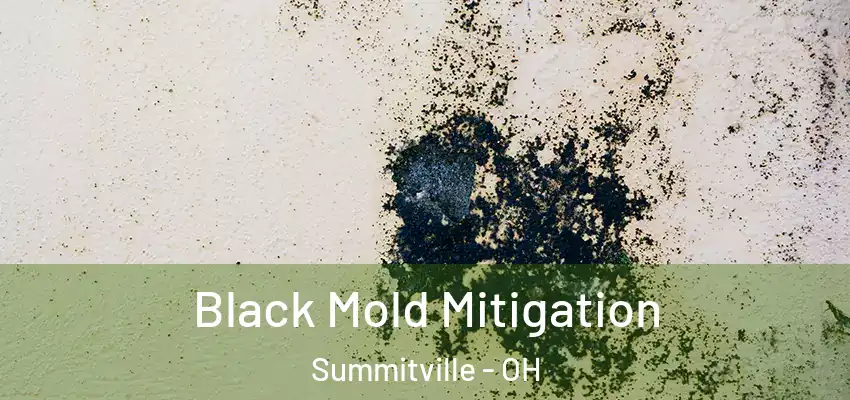  Black Mold Mitigation Summitville - OH