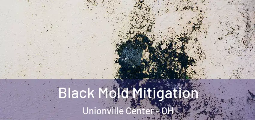  Black Mold Mitigation Unionville Center - OH