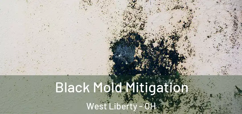  Black Mold Mitigation West Liberty - OH