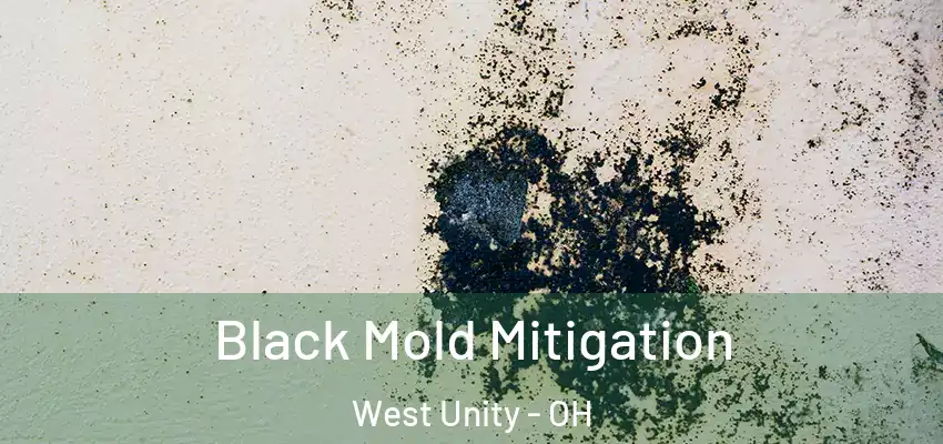  Black Mold Mitigation West Unity - OH