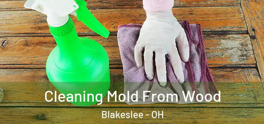  Cleaning Mold From Wood Blakeslee - OH