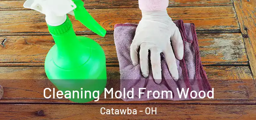  Cleaning Mold From Wood Catawba - OH