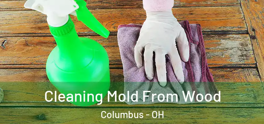  Cleaning Mold From Wood Columbus - OH