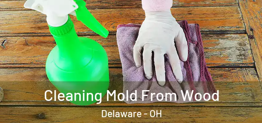  Cleaning Mold From Wood Delaware - OH
