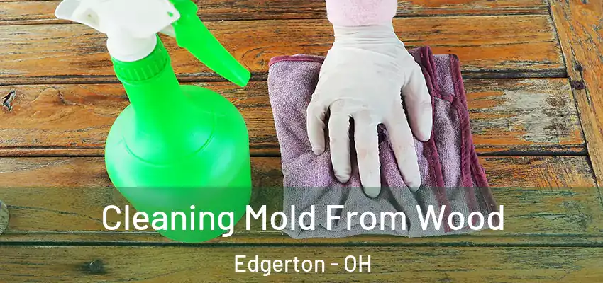  Cleaning Mold From Wood Edgerton - OH