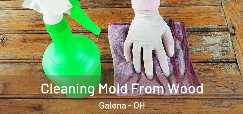  Cleaning Mold From Wood Galena - OH