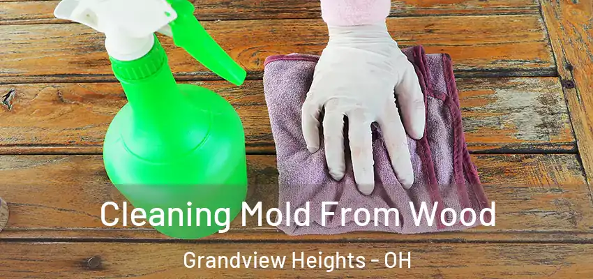 Cleaning Mold From Wood Grandview Heights - OH