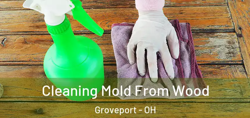  Cleaning Mold From Wood Groveport - OH