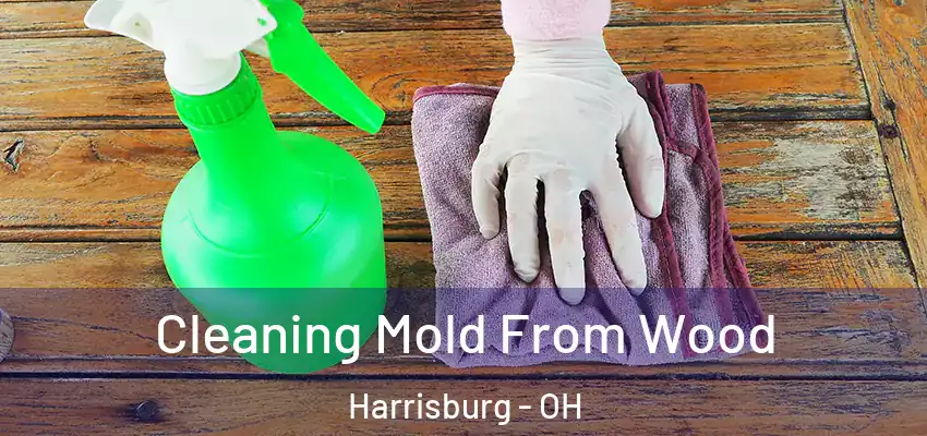 Cleaning Mold From Wood Harrisburg - OH