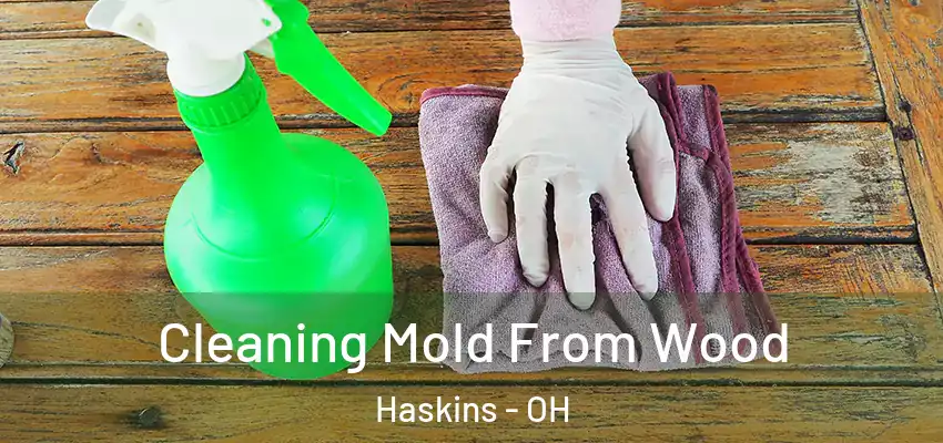 Cleaning Mold From Wood Haskins - OH