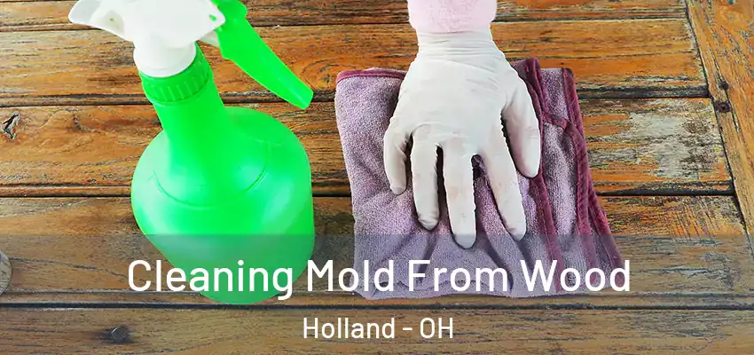  Cleaning Mold From Wood Holland - OH