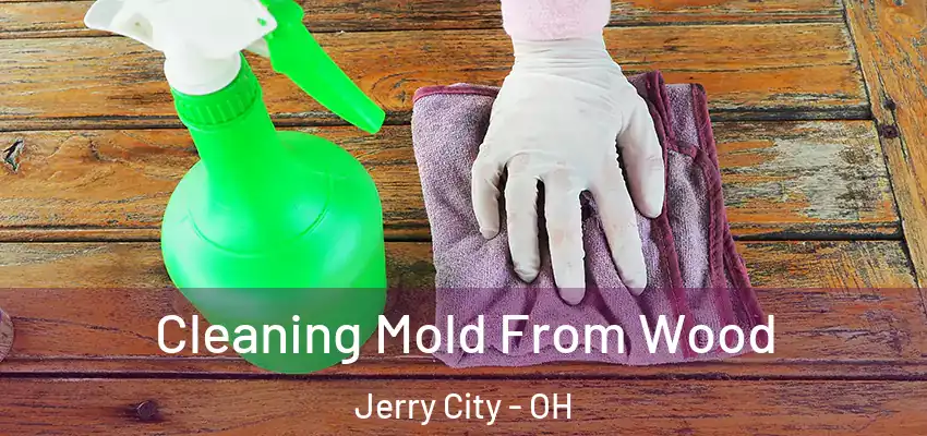Cleaning Mold From Wood Jerry City - OH