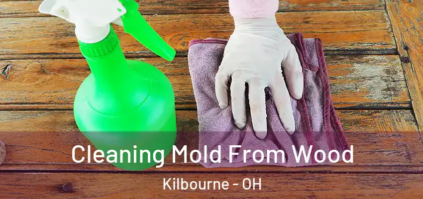  Cleaning Mold From Wood Kilbourne - OH