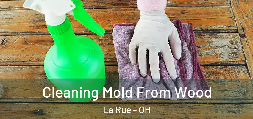  Cleaning Mold From Wood La Rue - OH