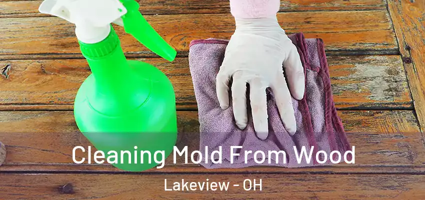  Cleaning Mold From Wood Lakeview - OH